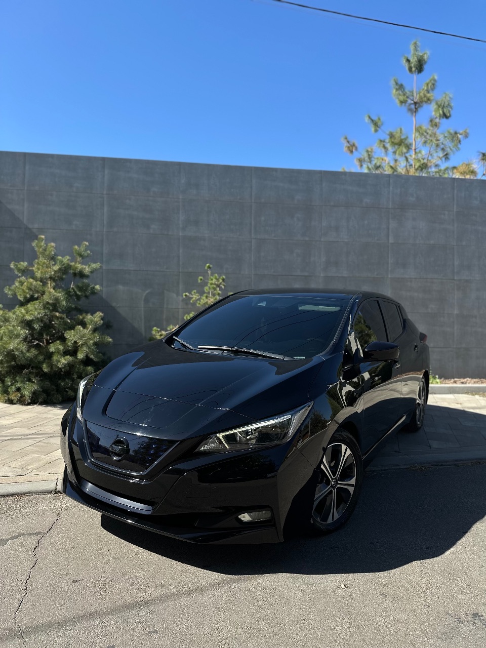 Nissan Leaf - фото 1