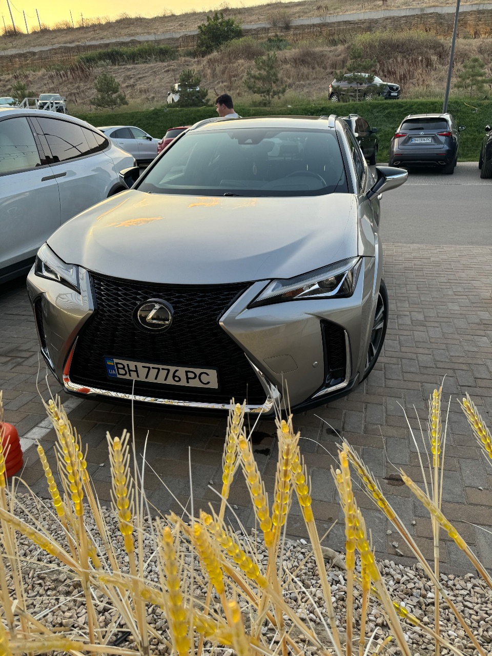Lexus UX - фото 1