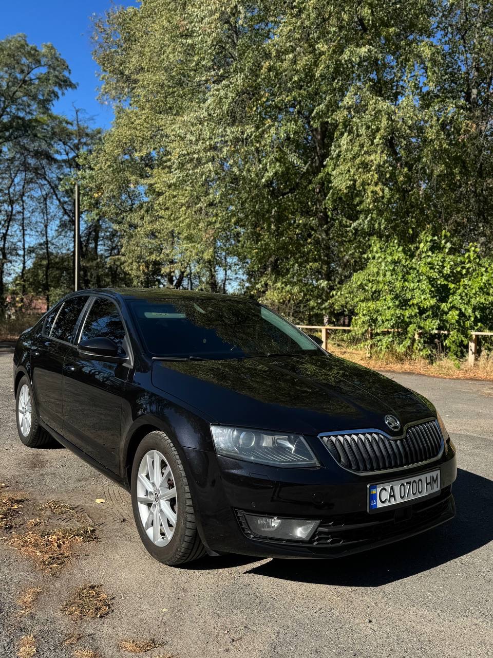 Skoda Octavia - фото 1