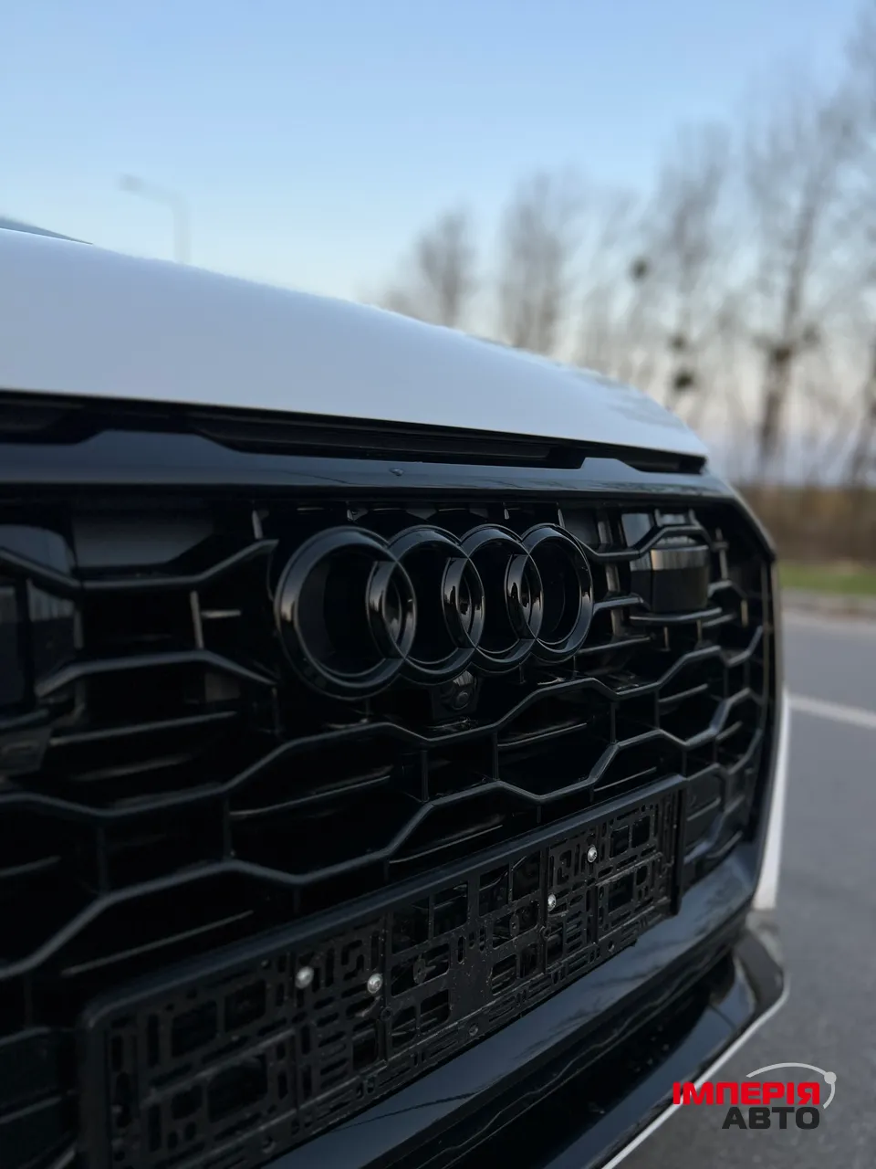 Audi Q8 - фото 9