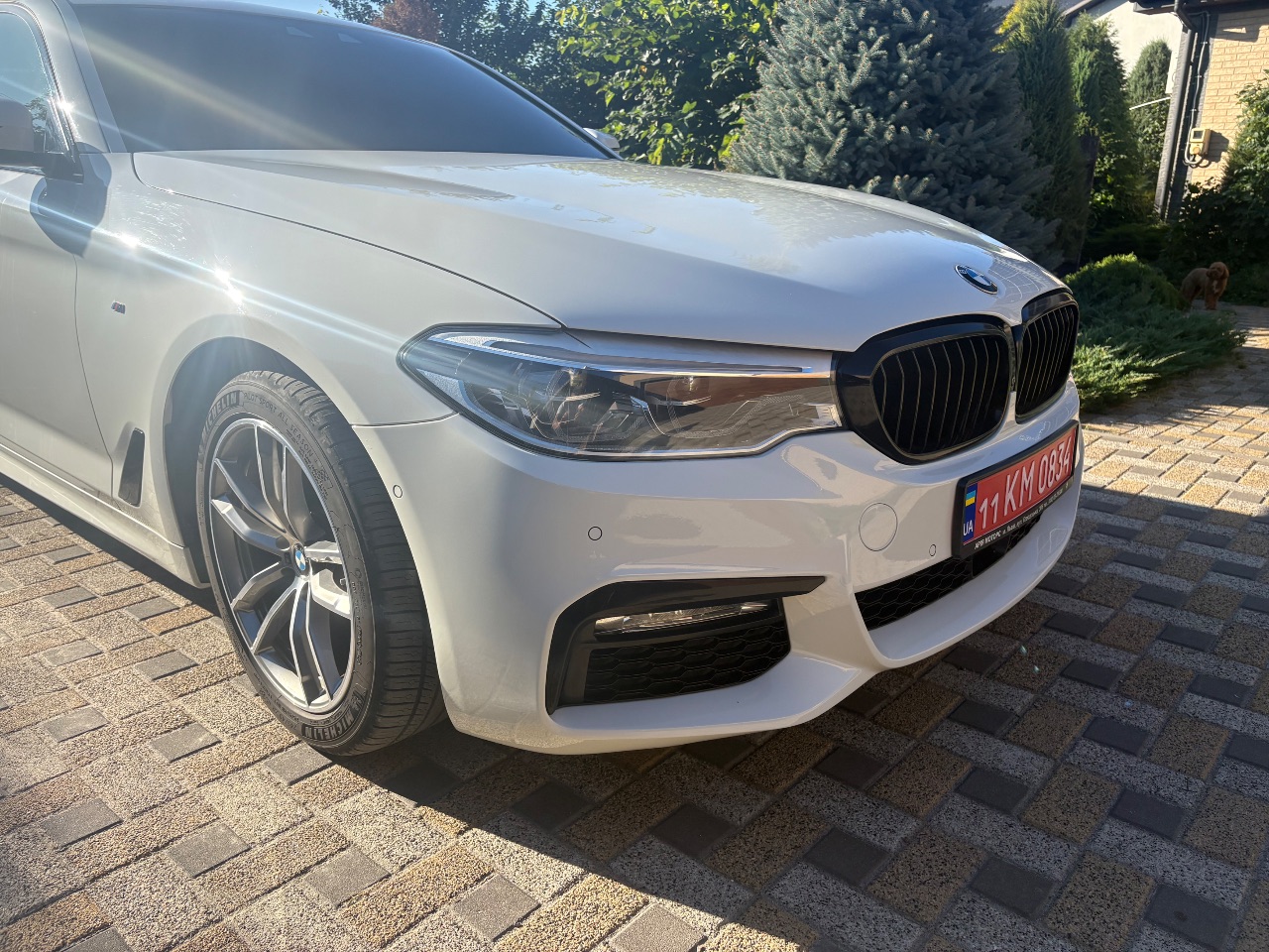 BMW 5 серії - фото 12