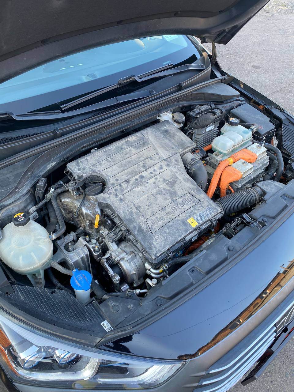 Hyundai IONIQ - фото 23