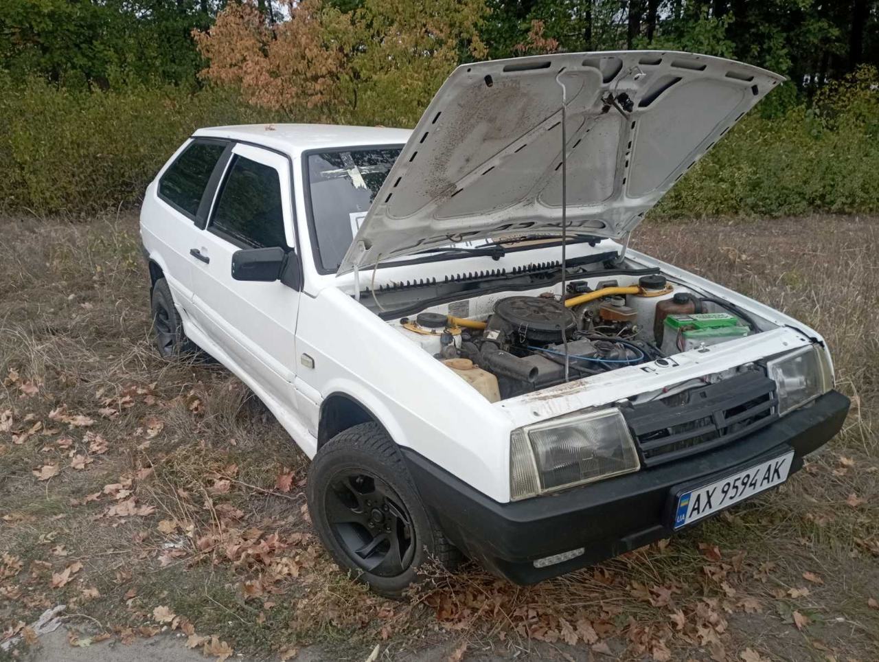 Lada (ВАЗ) 2108 - фото 4
