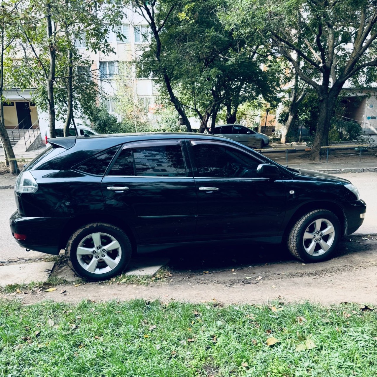 Lexus RX - фото 7