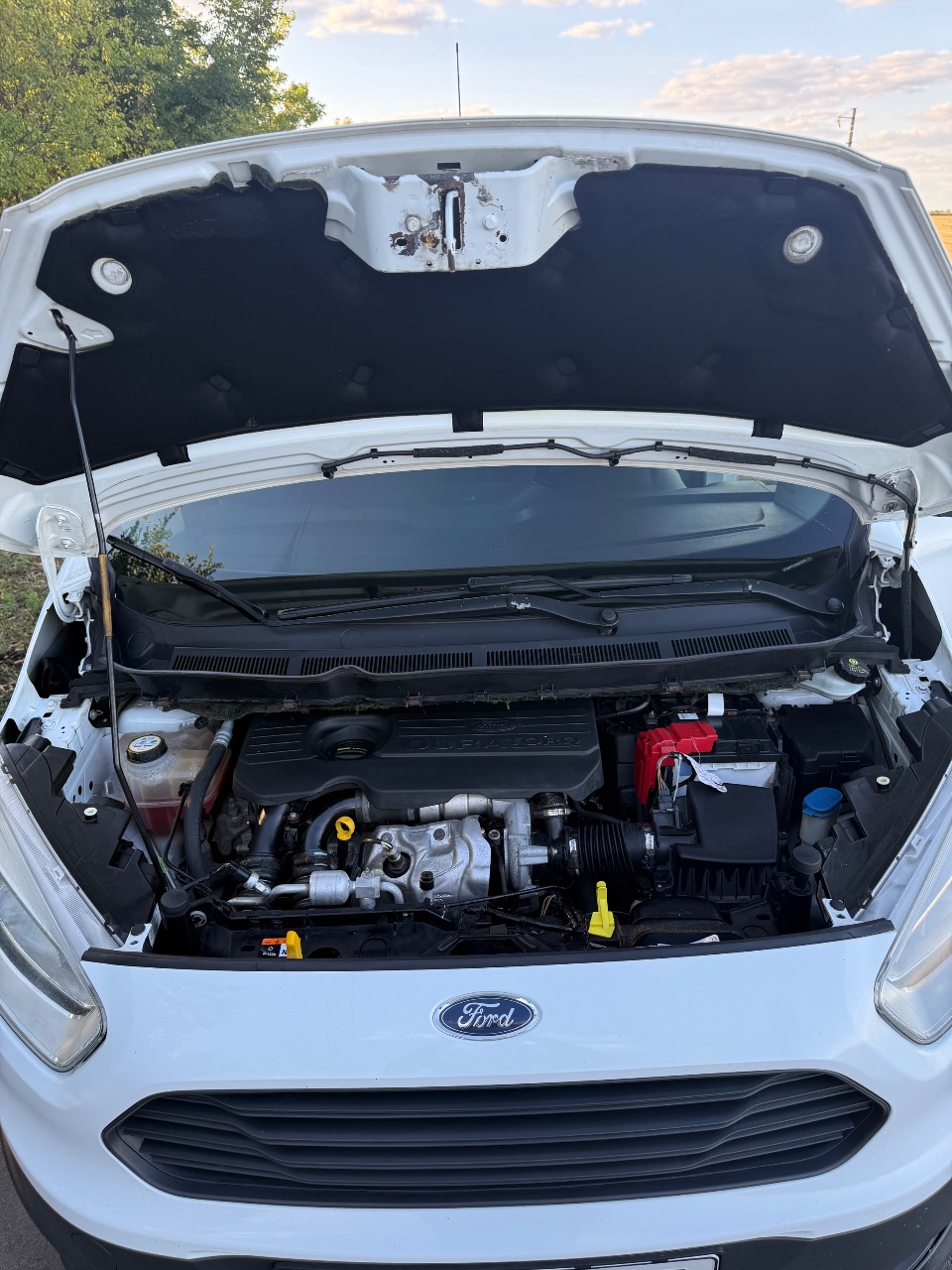 Ford Transit Connect - фото 15