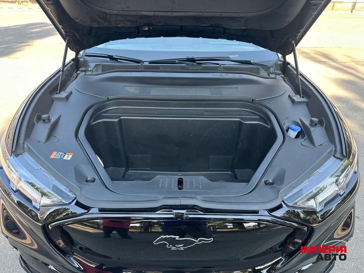 Ford Mustang Mach-E - фото 13