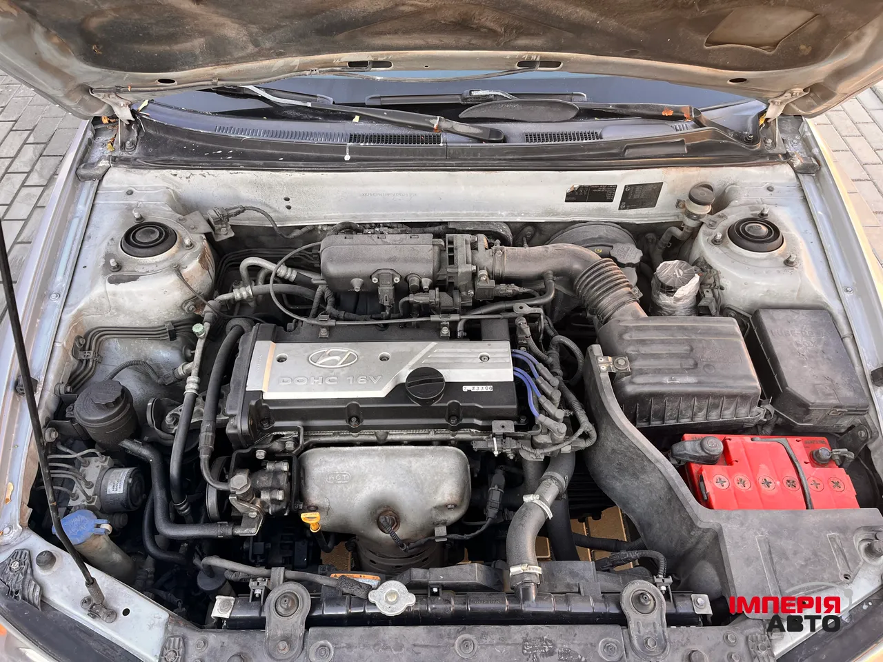 Hyundai Elantra - фото 12