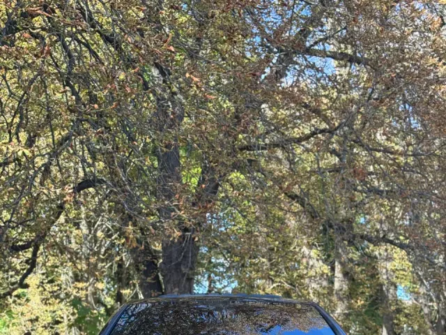 Audi A4 - зображення 2