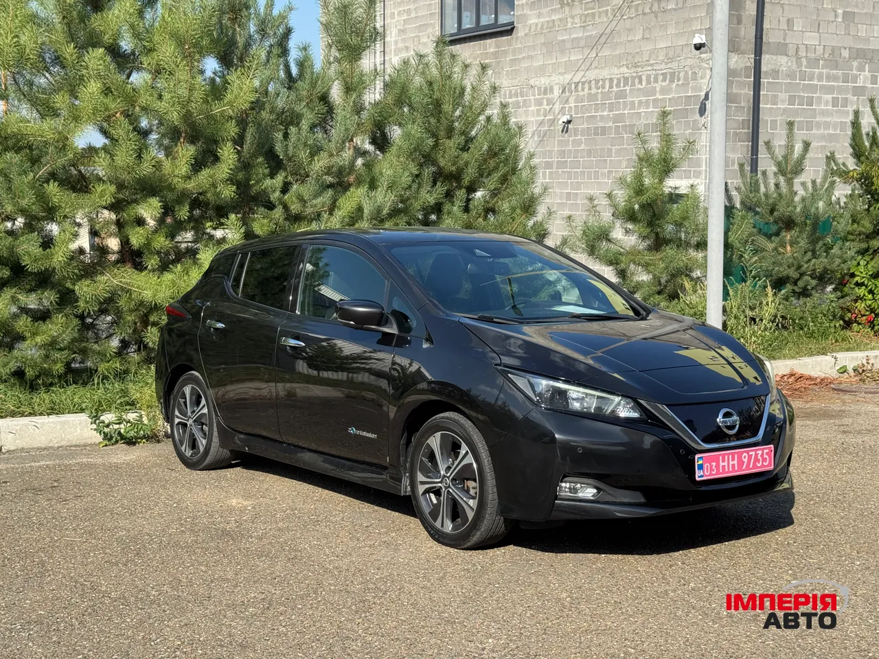 Nissan Leaf - фото 1