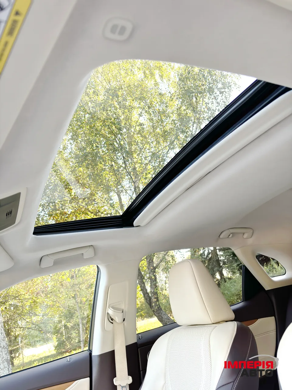 Lexus RX - фото 17