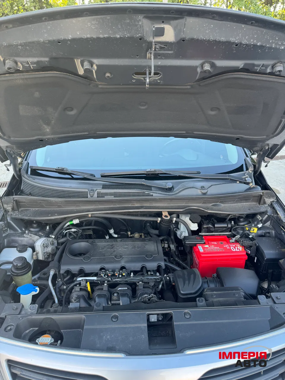 Kia Sportage - фото 16