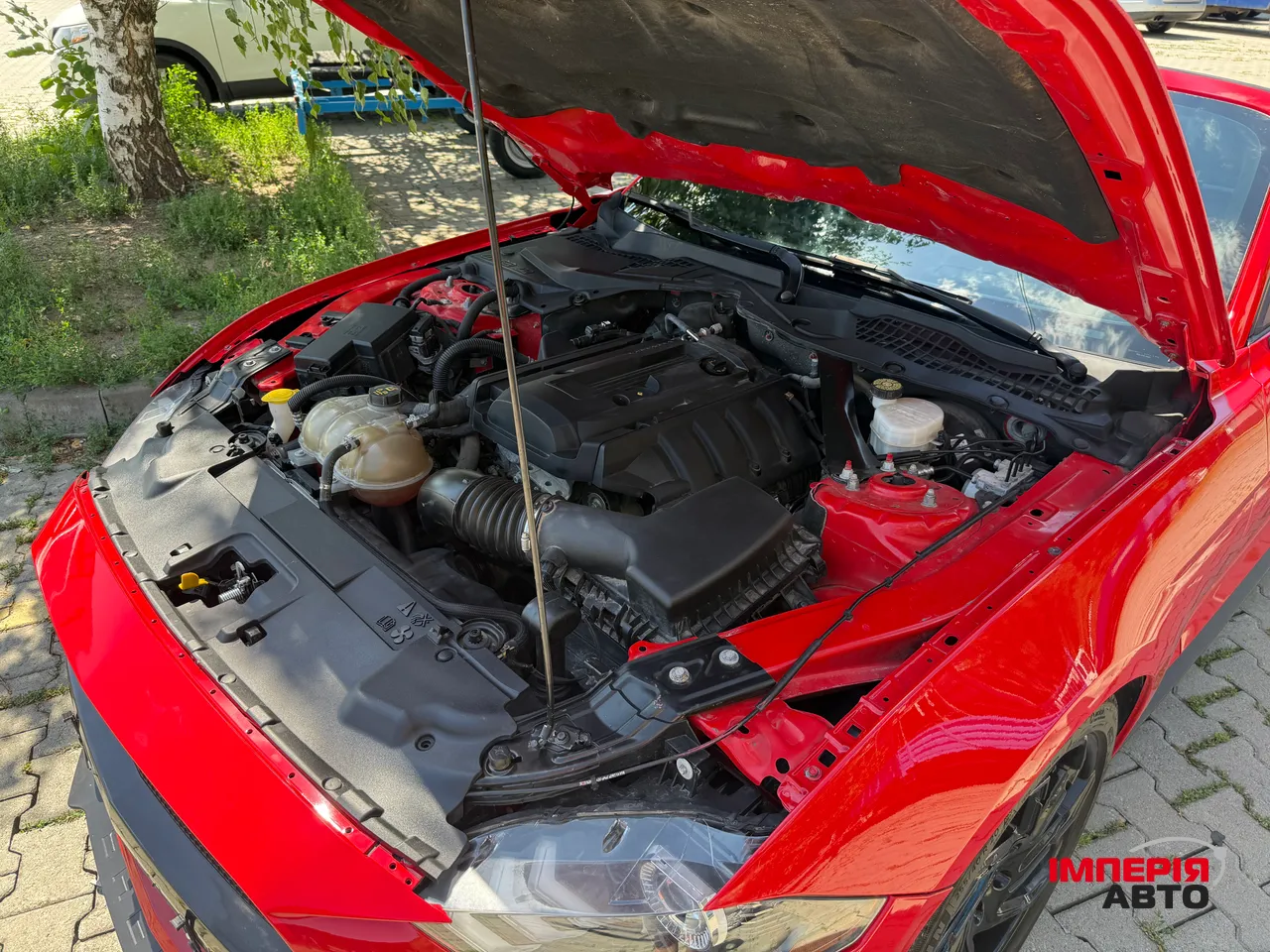 Ford Mustang - фото 40