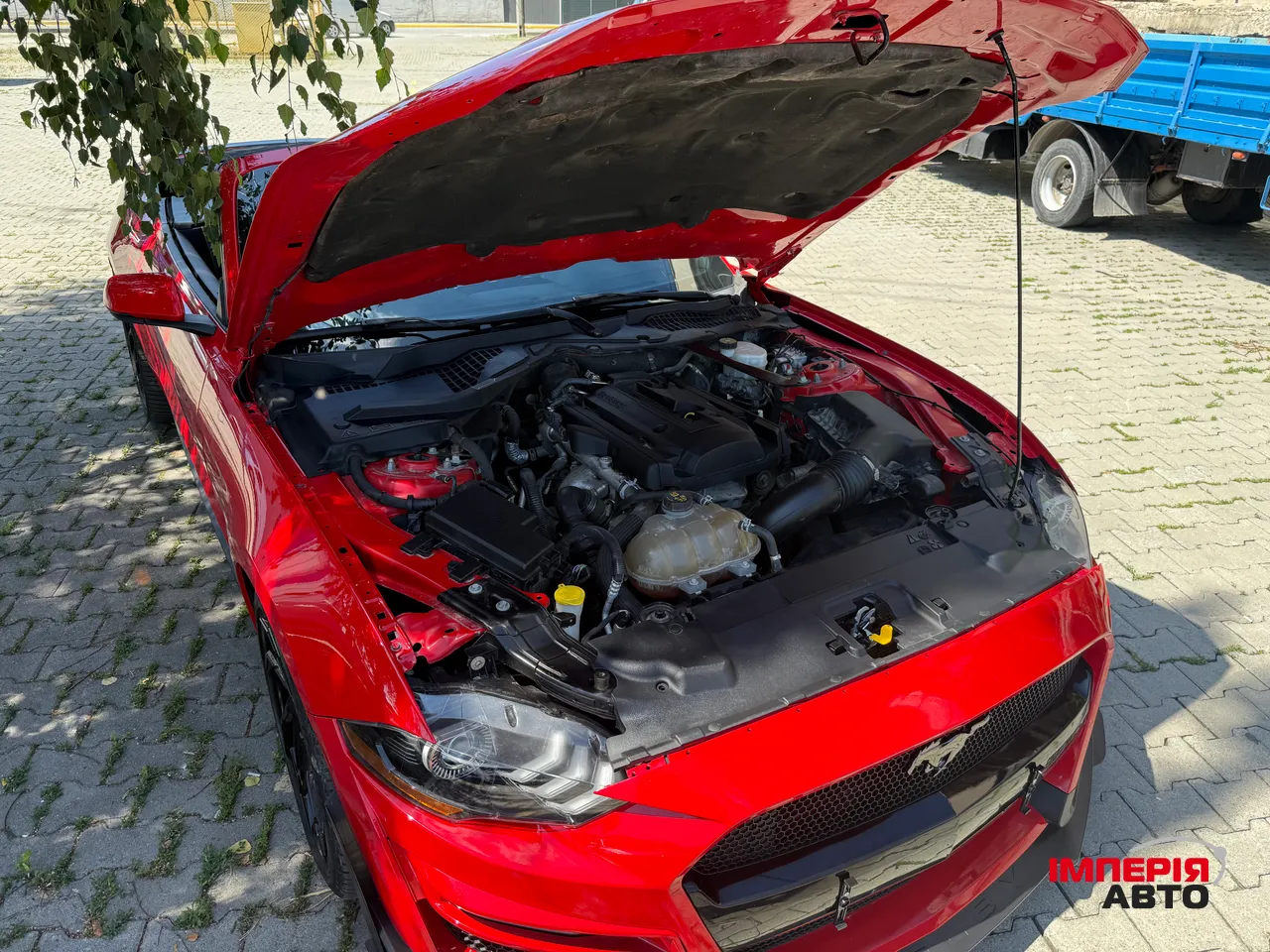 Ford Mustang - фото 36