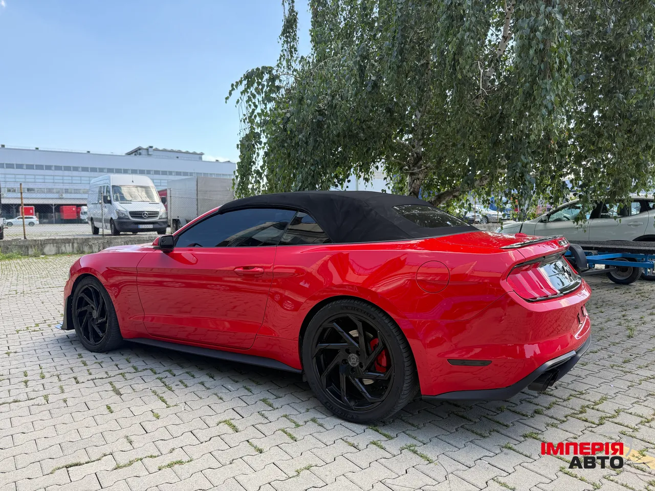 Ford Mustang - фото 26