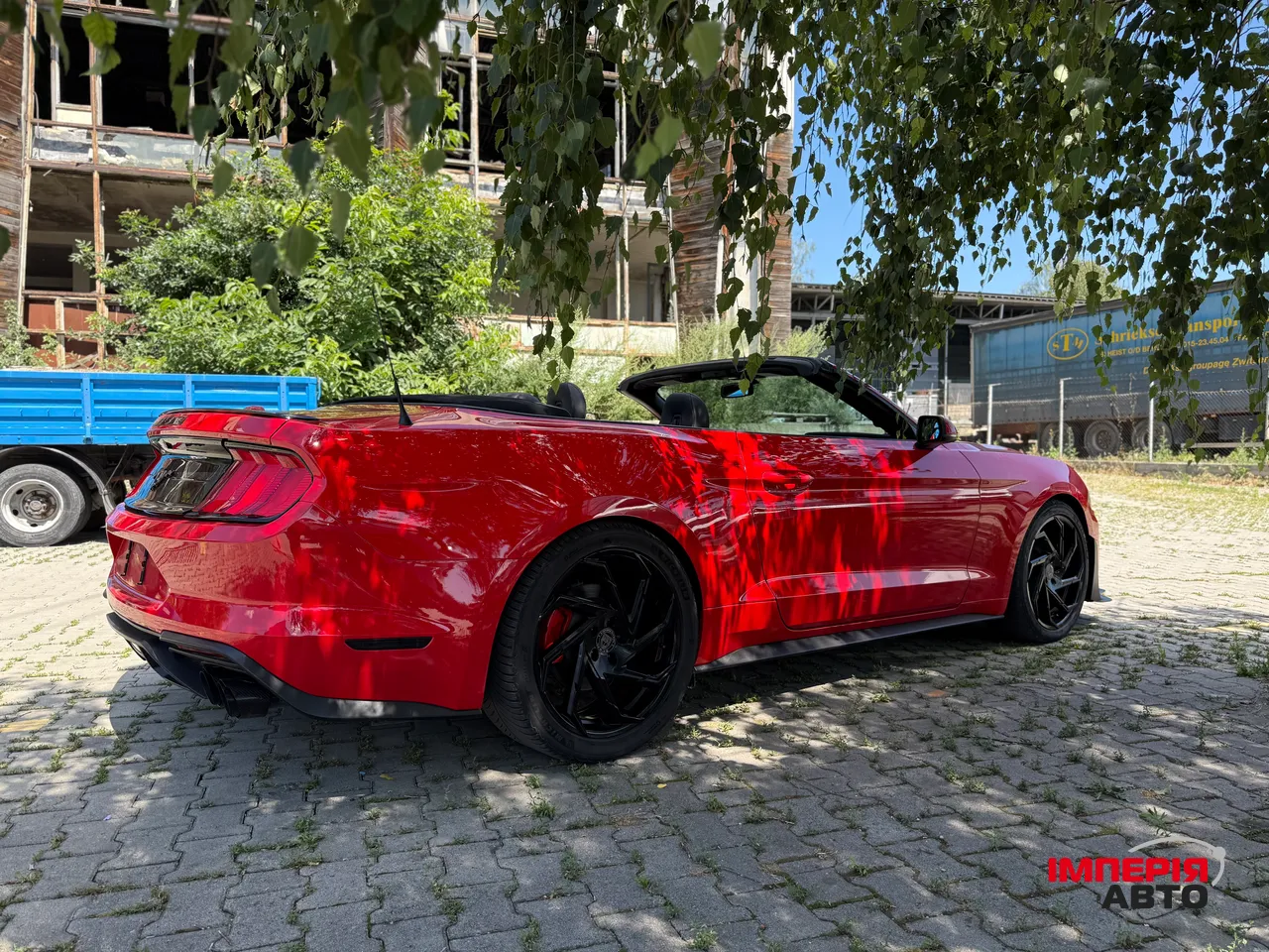 Ford Mustang - фото 34