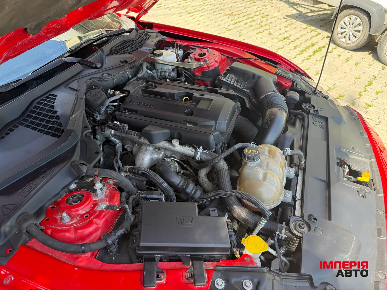 Ford Mustang - фото 41