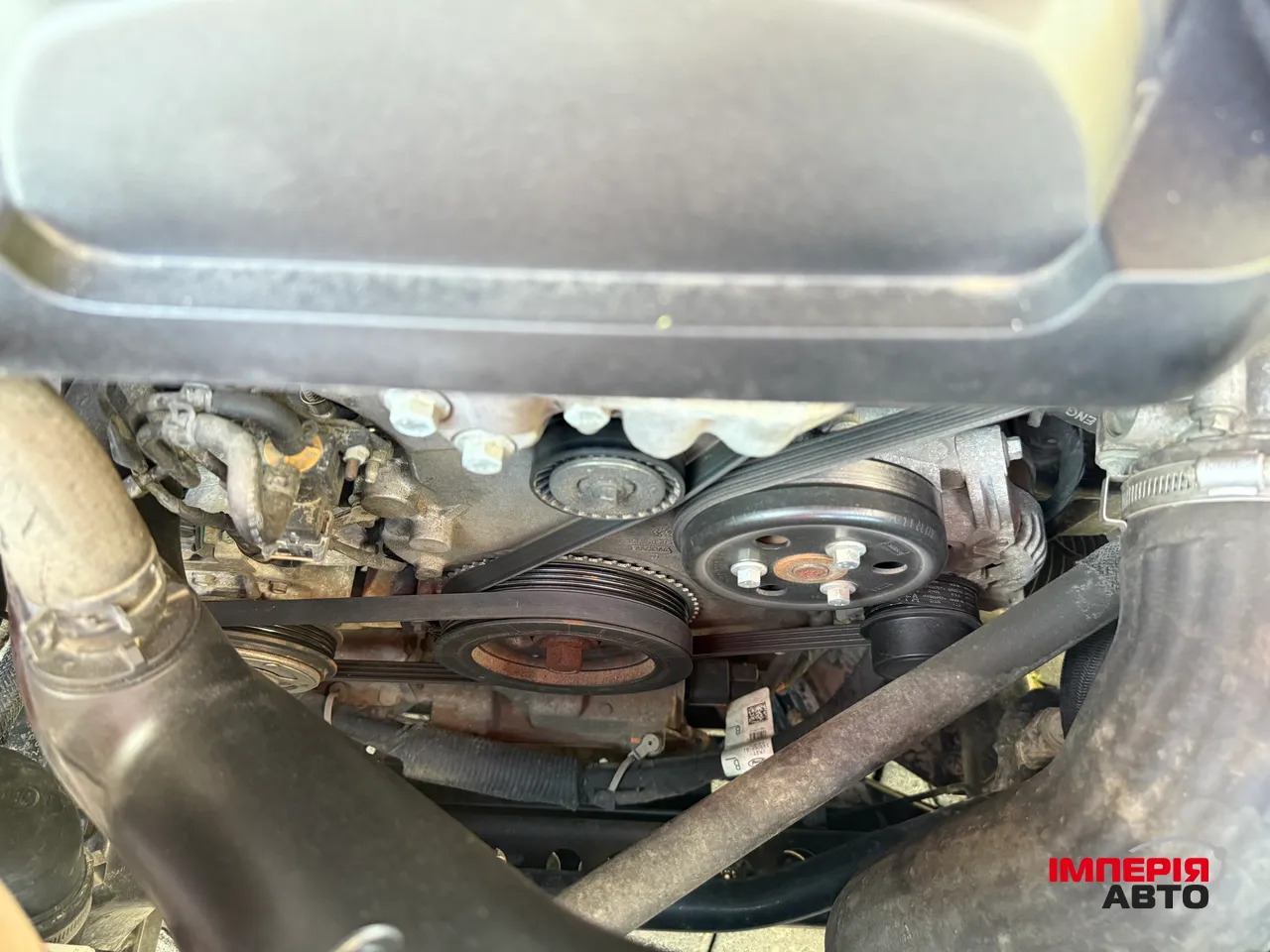 Ford Mustang - фото 38