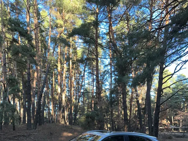 Audi Q3 - фото 3