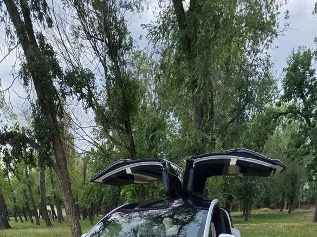 Tesla Model X - фото 1