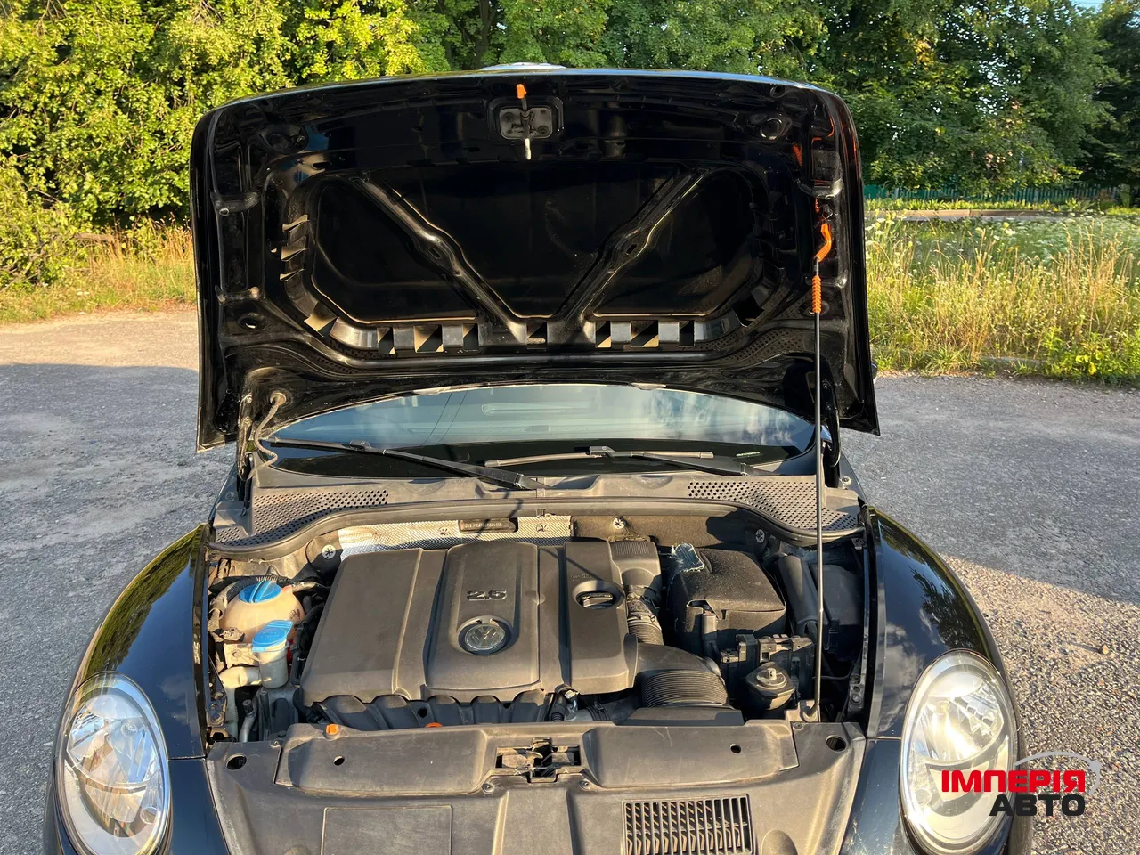 Volkswagen Beetle - фото 17