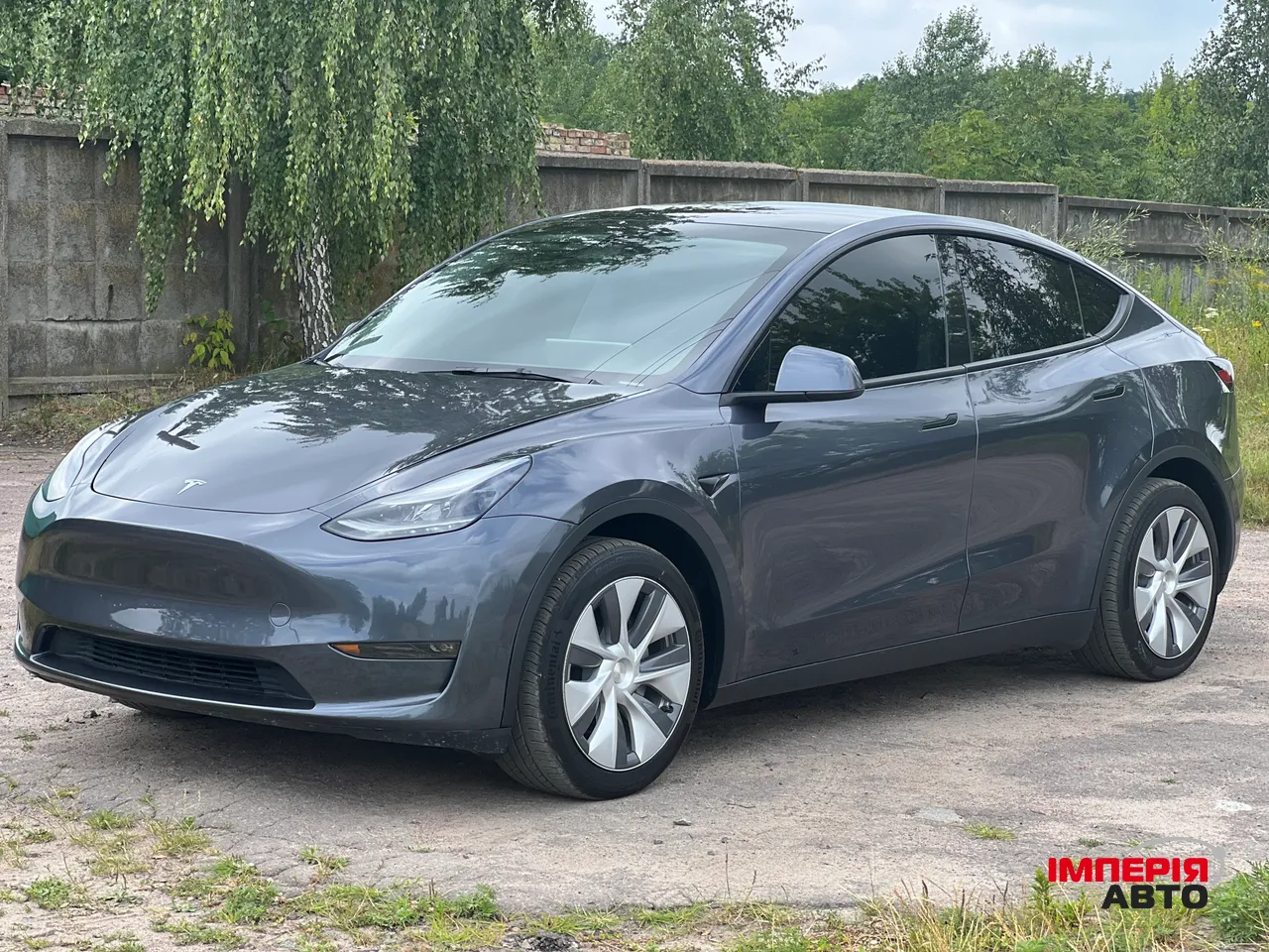 Tesla Model Y - фото 3
