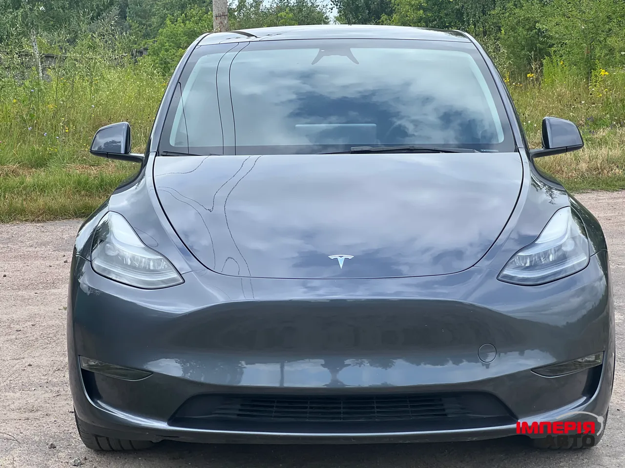 Tesla Model Y - фото 1