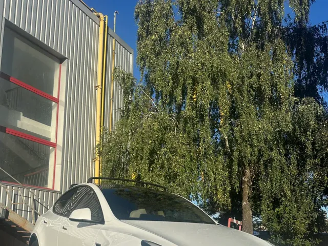 Tesla Model Y 2024, Тернопіль, $29 800 - зображення 1