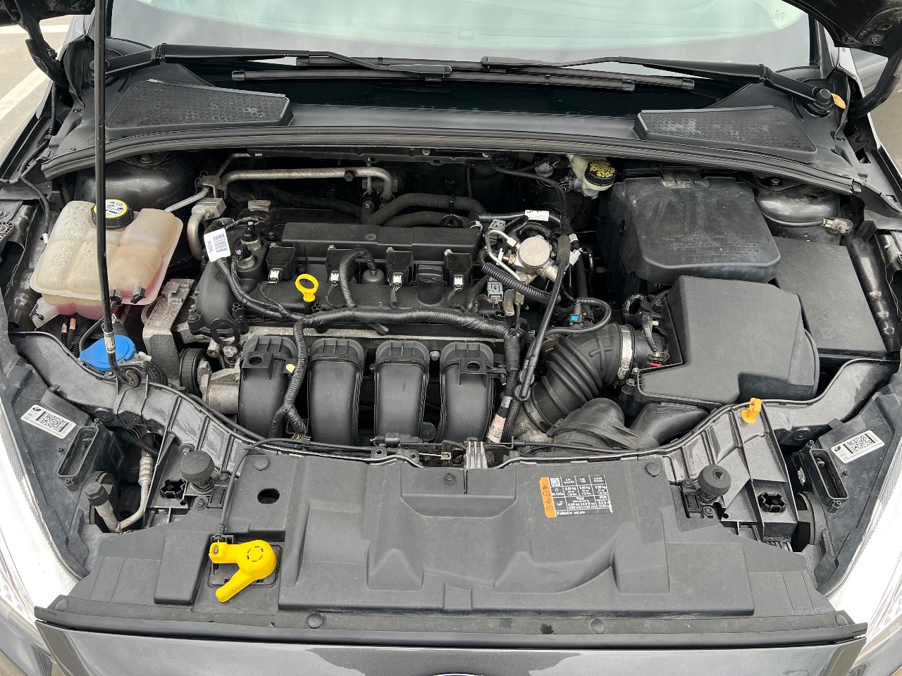 Ford Focus - фото 11