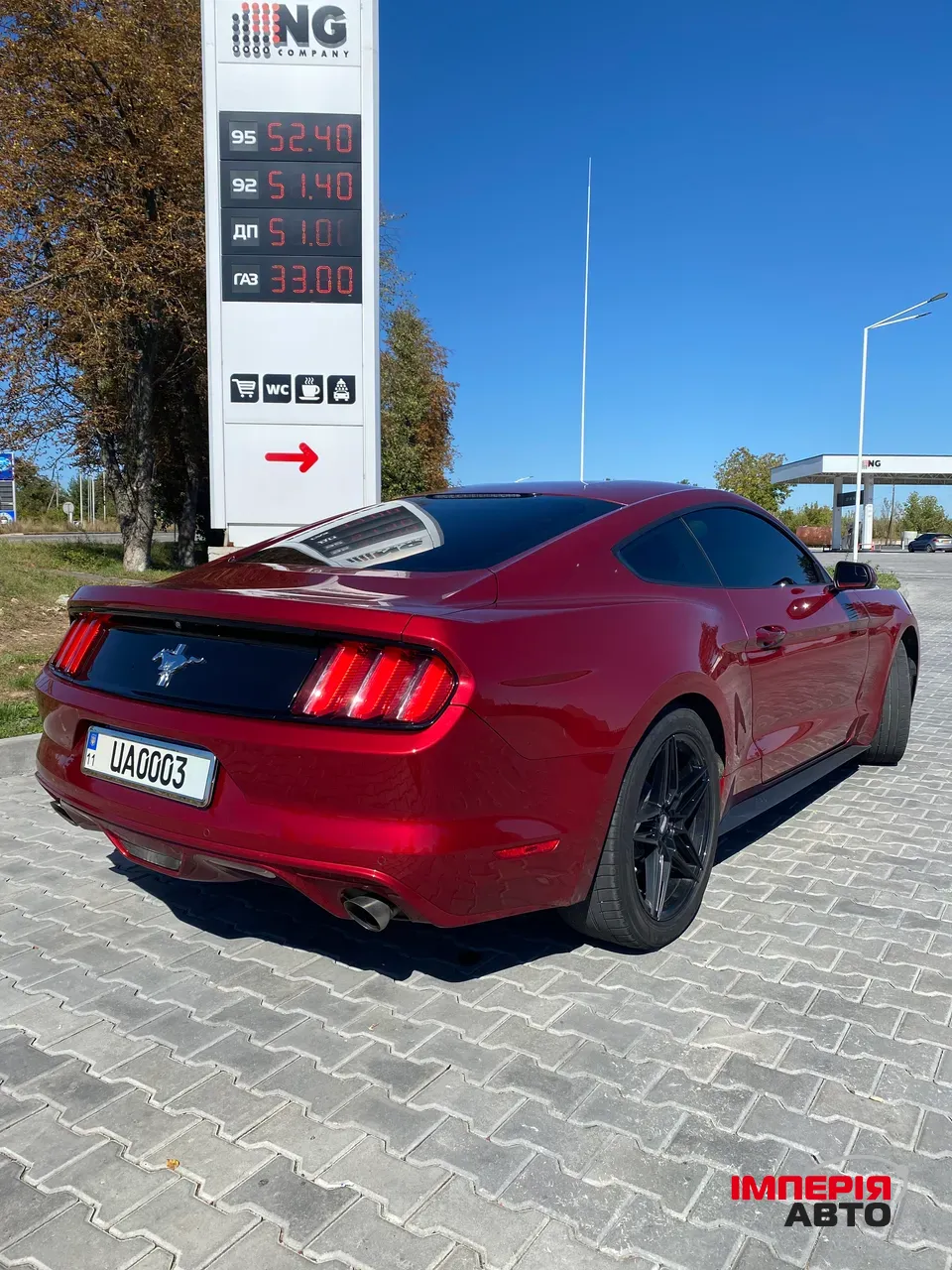 Ford Mustang - фото 10