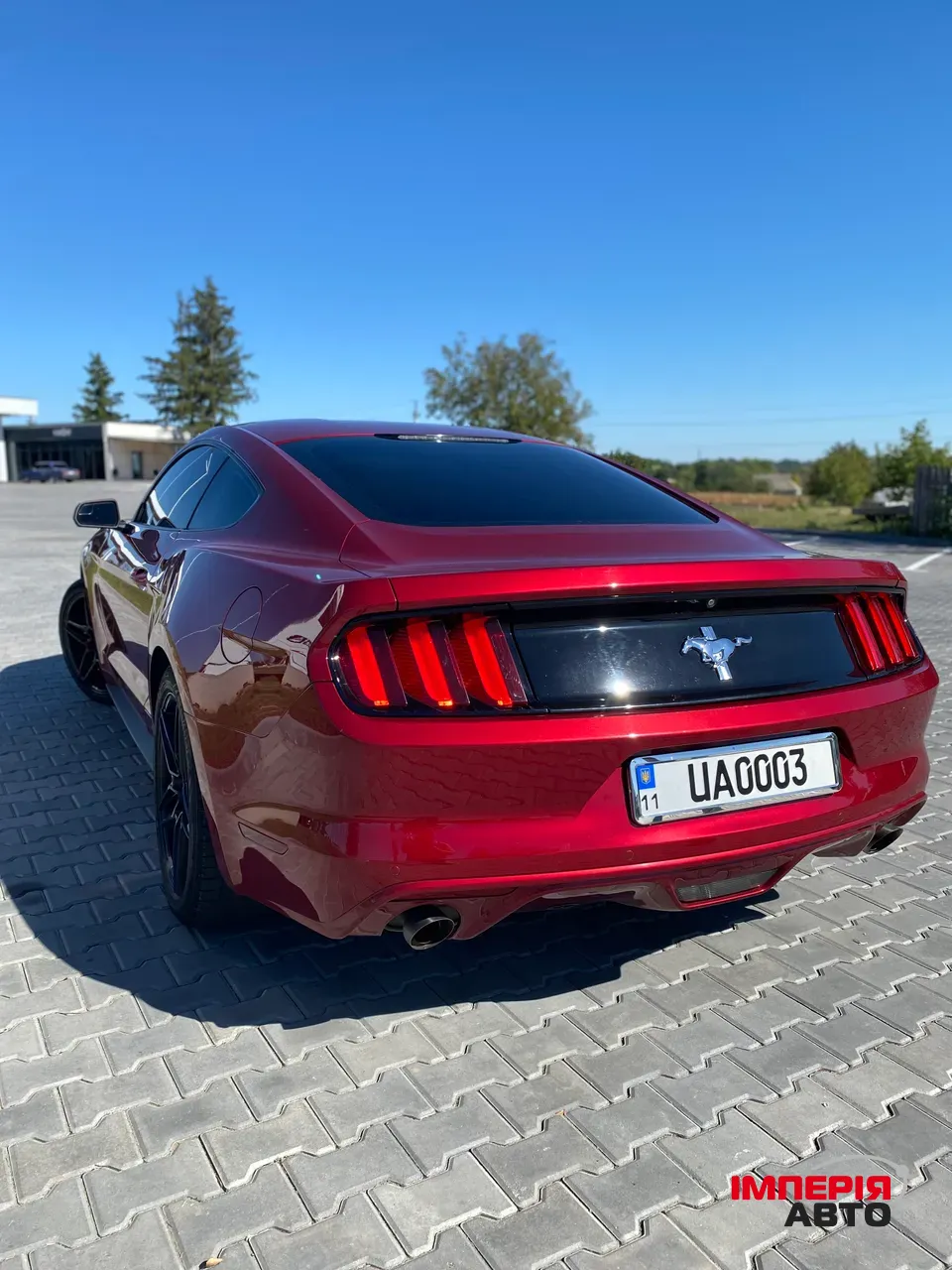 Ford Mustang - фото 8