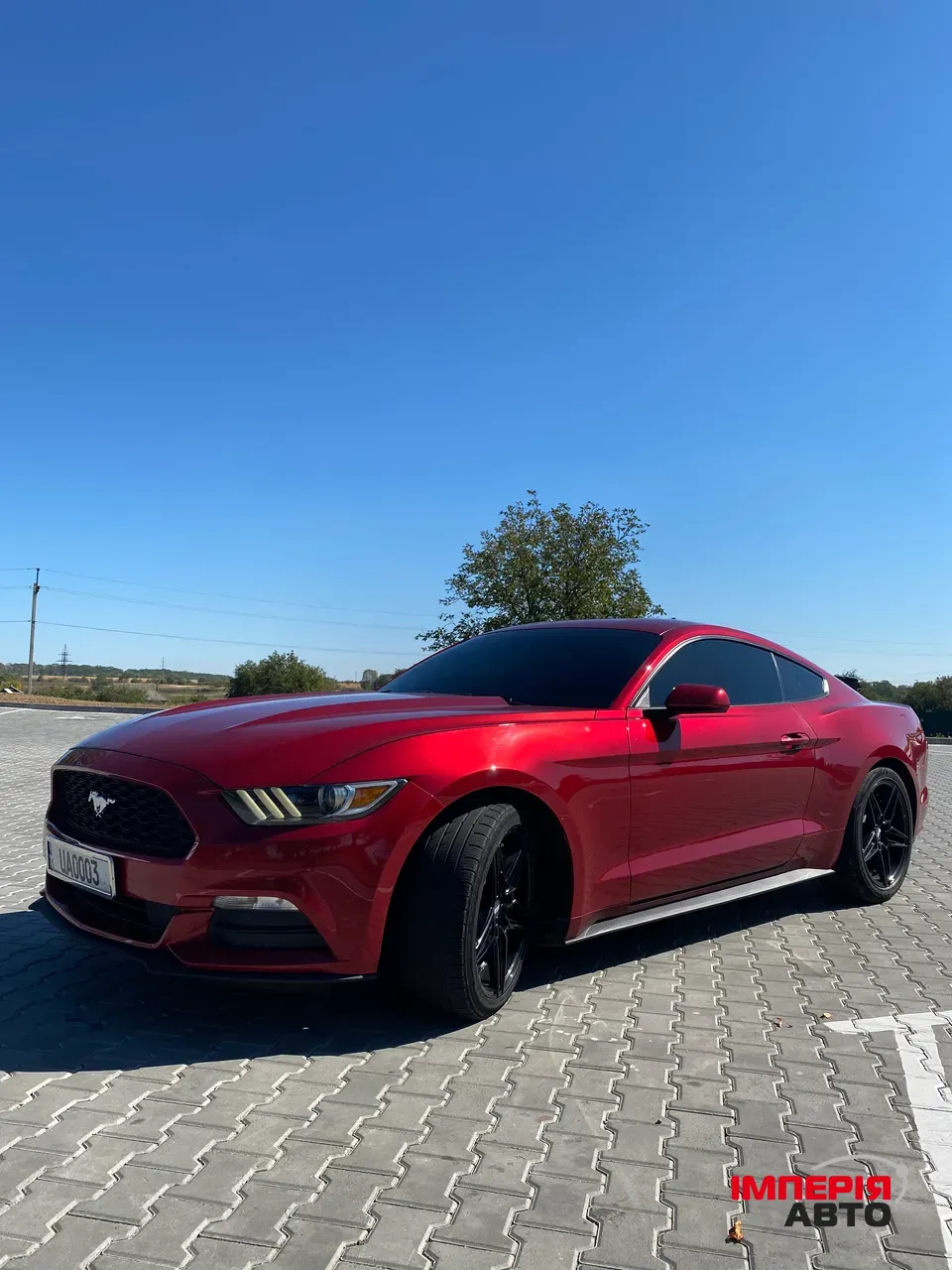 Ford Mustang - фото 1