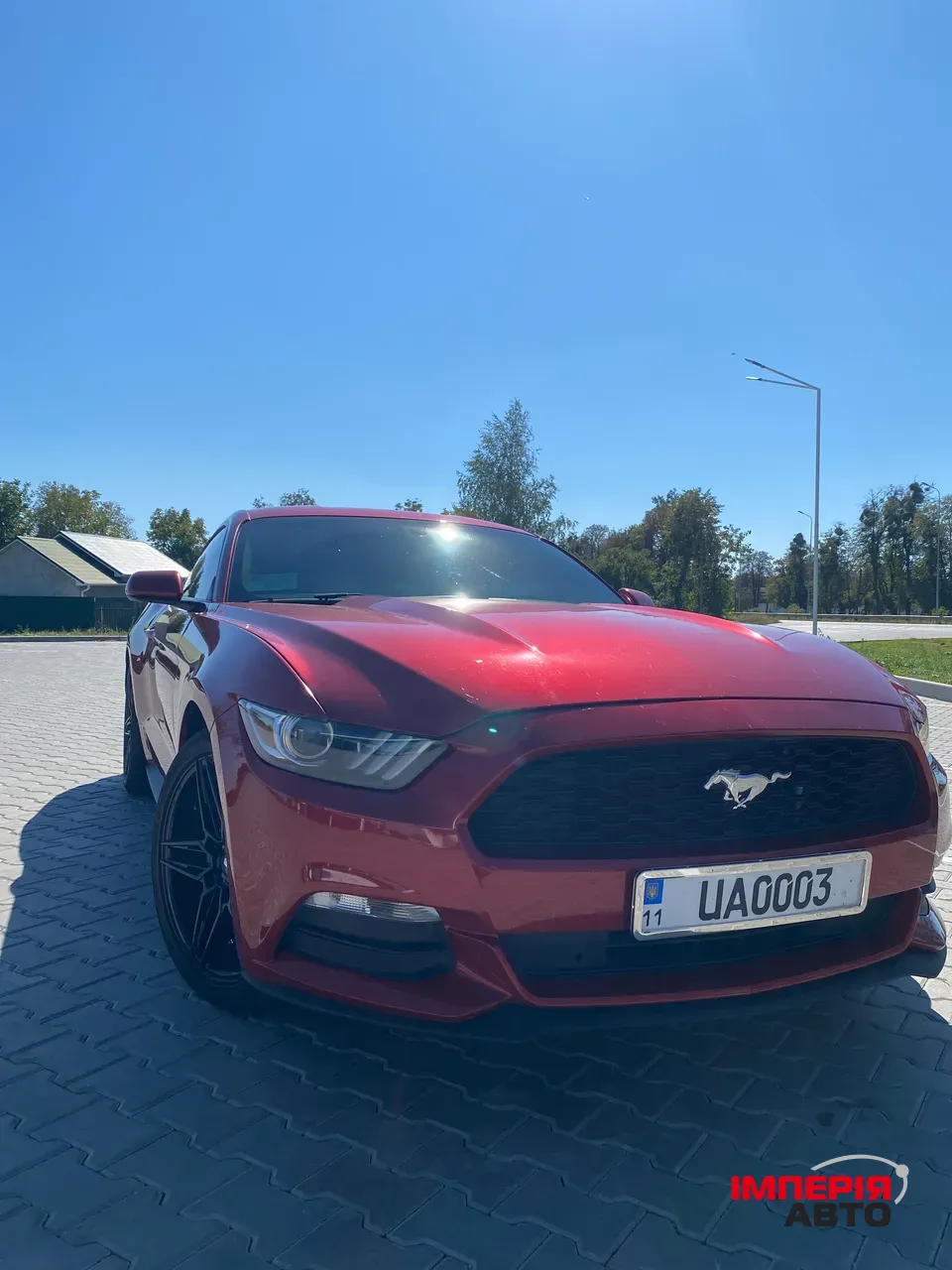 Ford Mustang - фото 7
