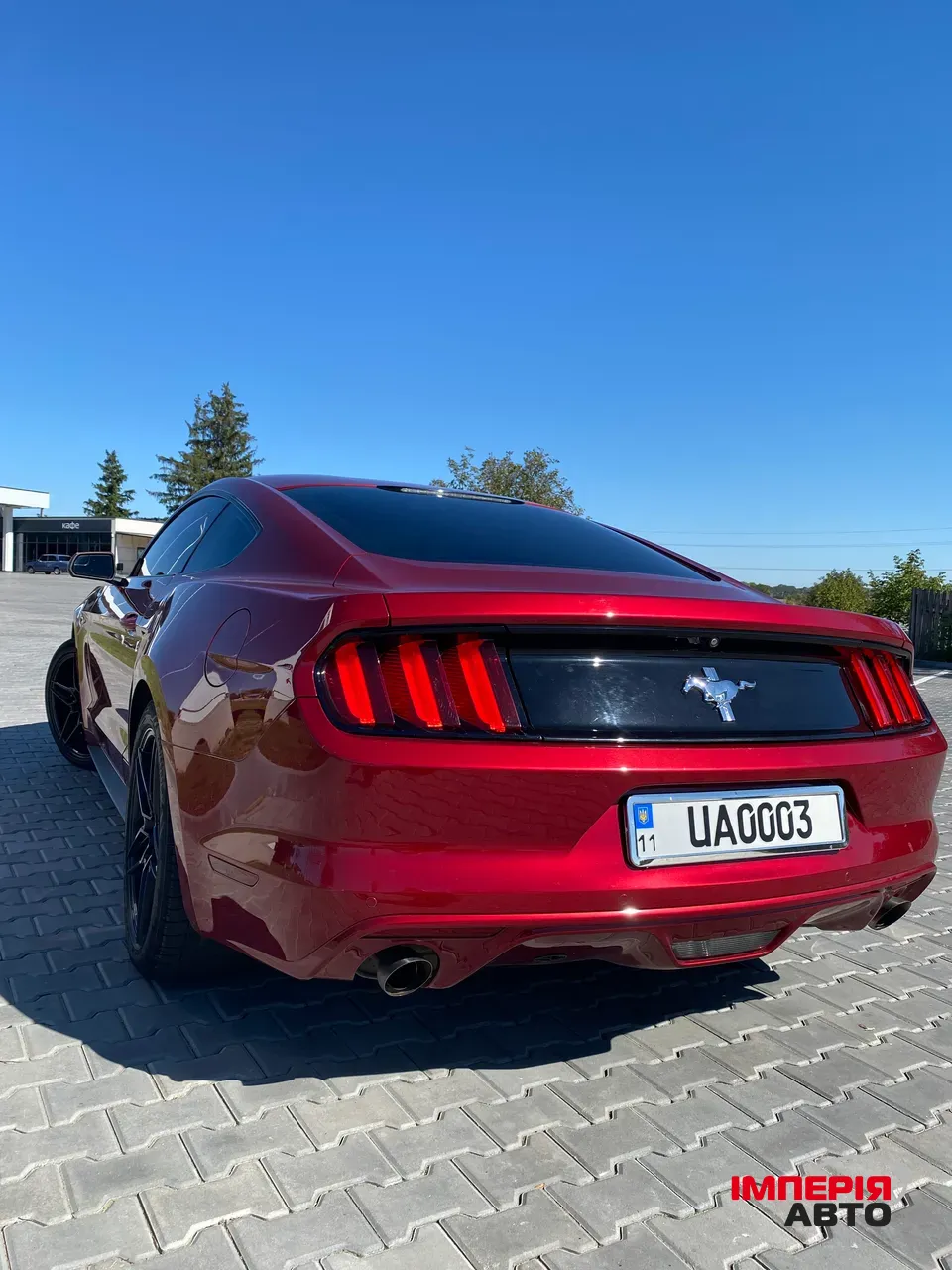 Ford Mustang - фото 5