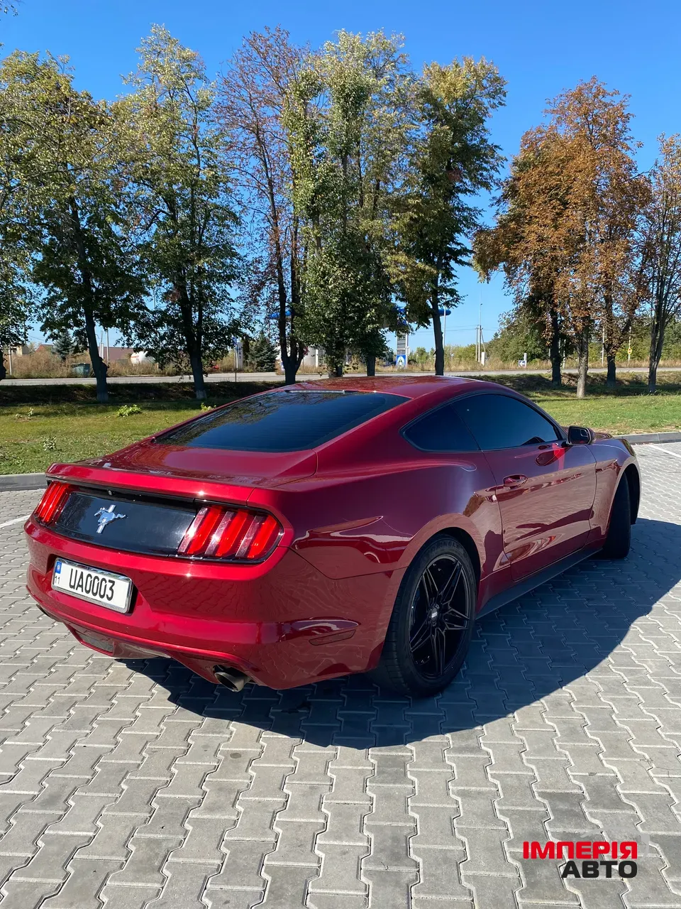 Ford Mustang - фото 9