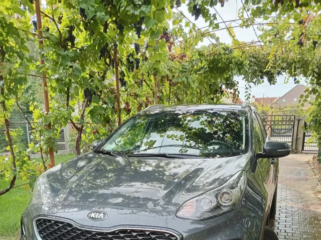 Kia Sportage - фото 1