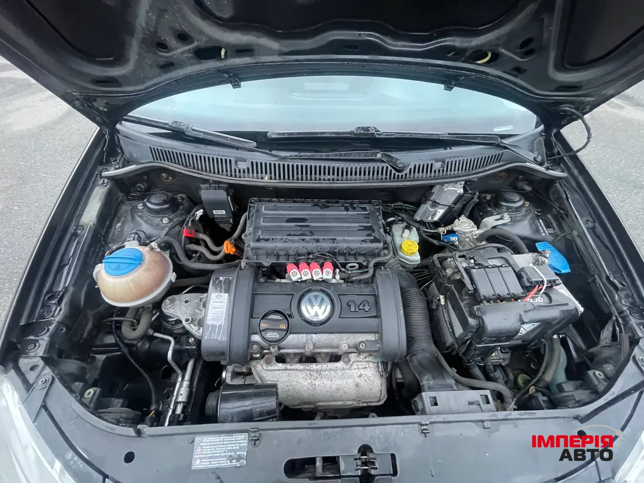 Volkswagen Polo - фото 13