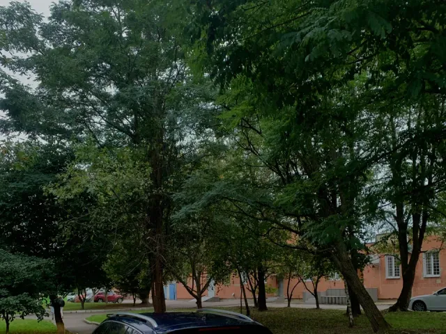 Skoda Superb - фото 5