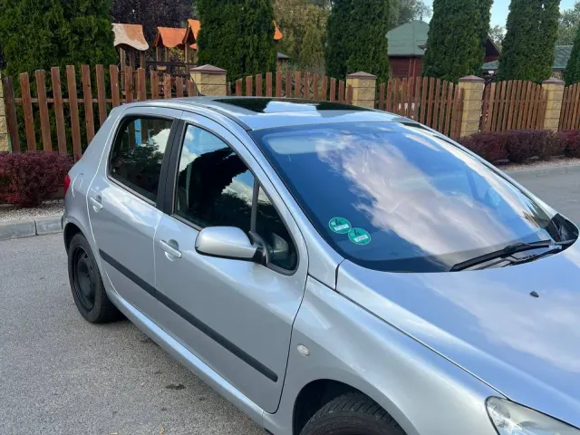 Peugeot 307 - фото 3