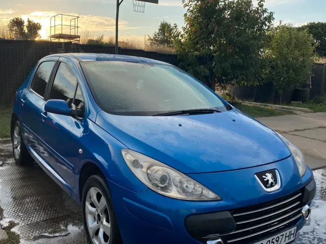 Peugeot 307 - фото 1