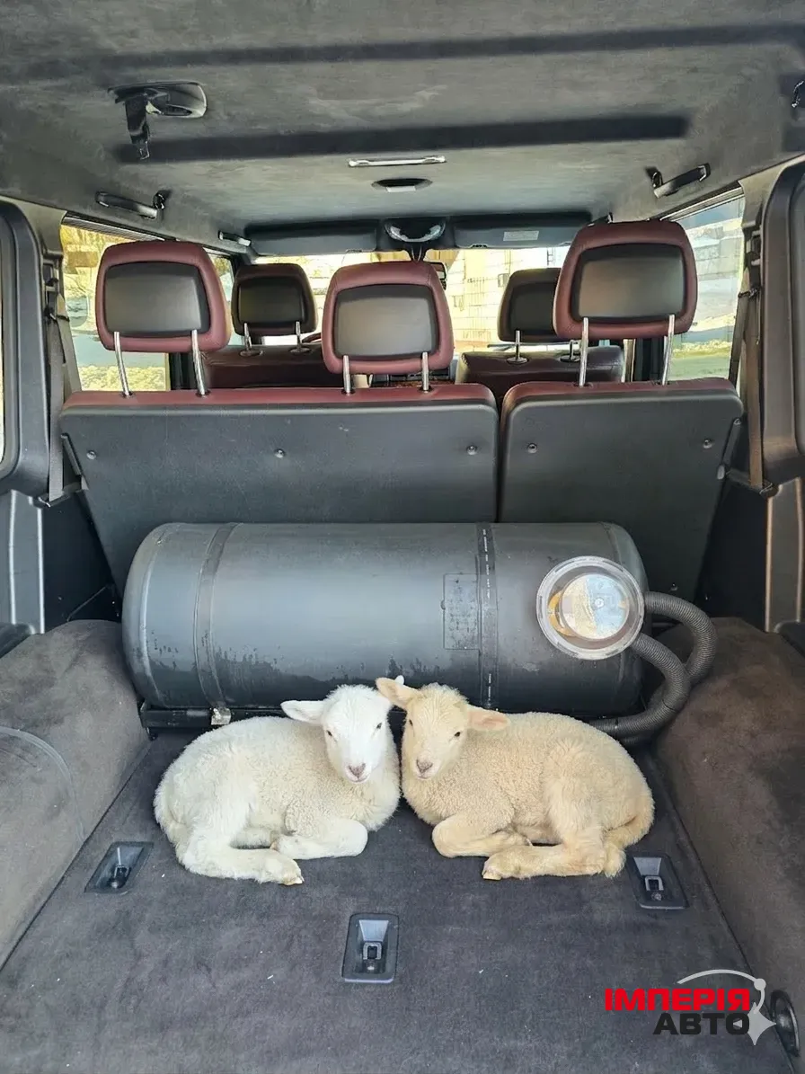 Mercedes-Benz G-Класс - фото 9