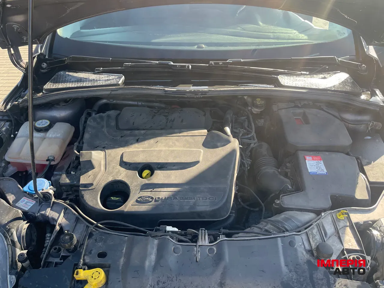 Ford Focus - фото 7
