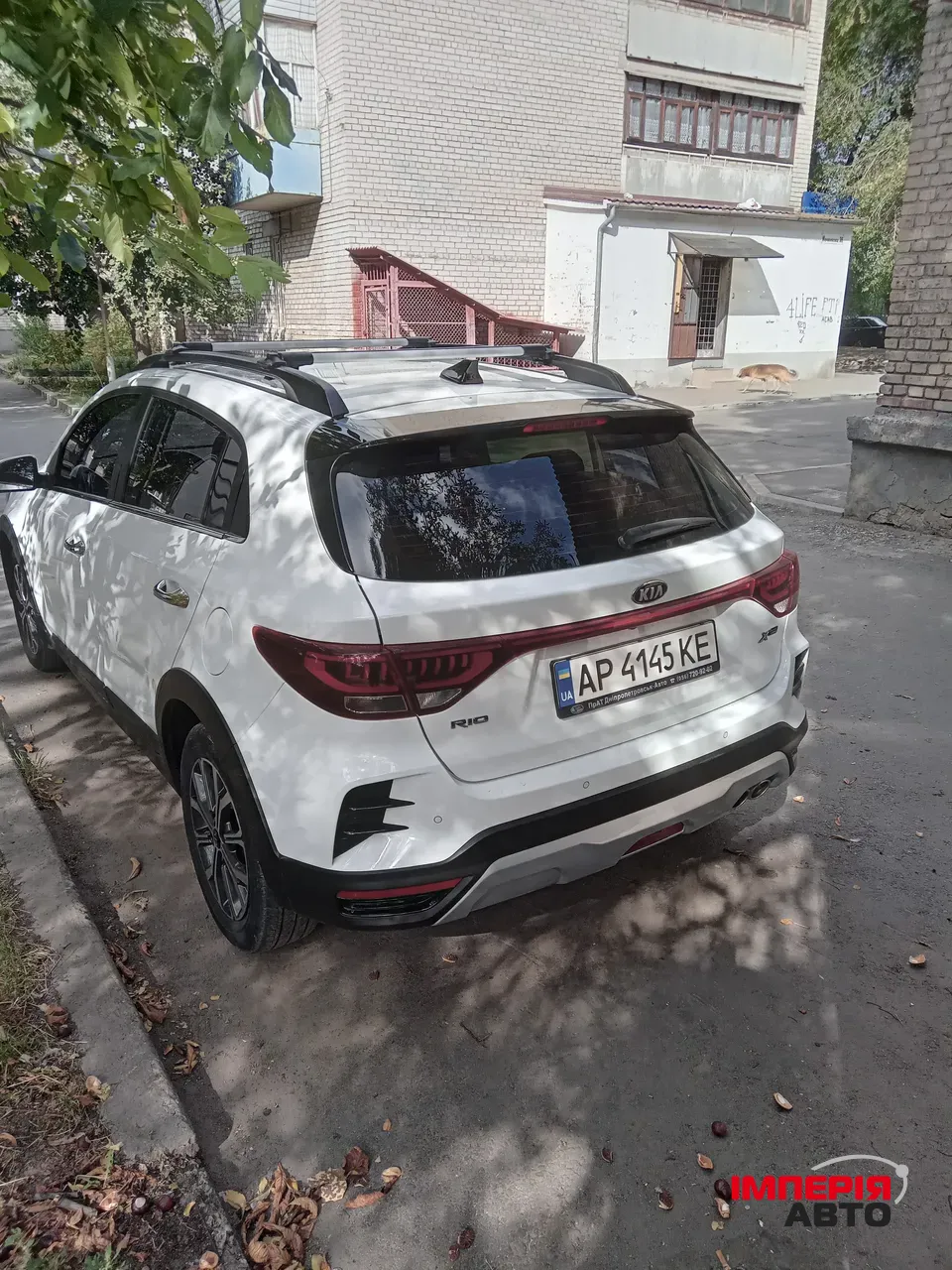 Kia Rio - фото 6