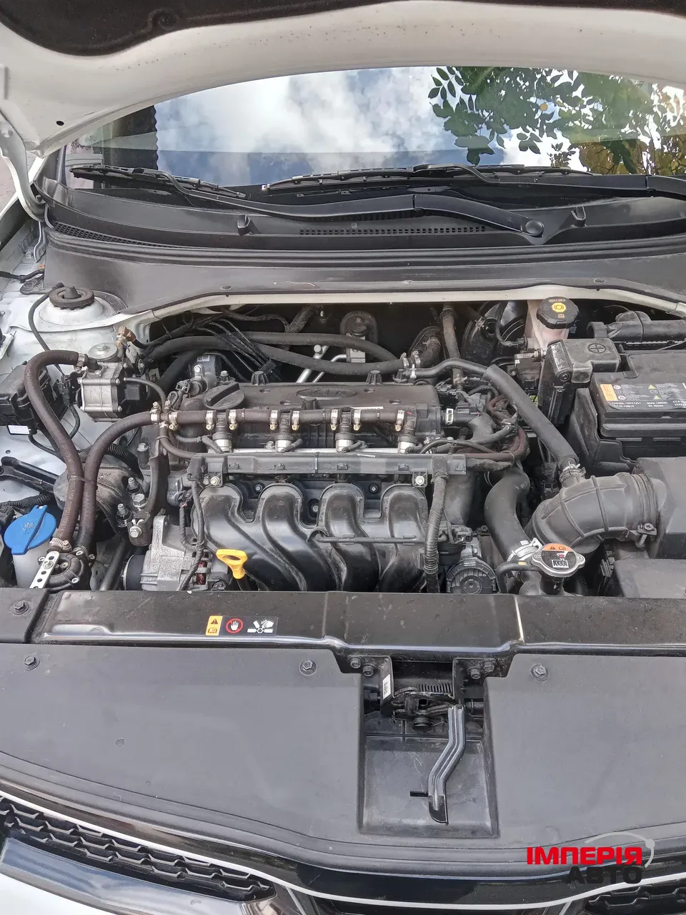 Kia Rio - фото 23