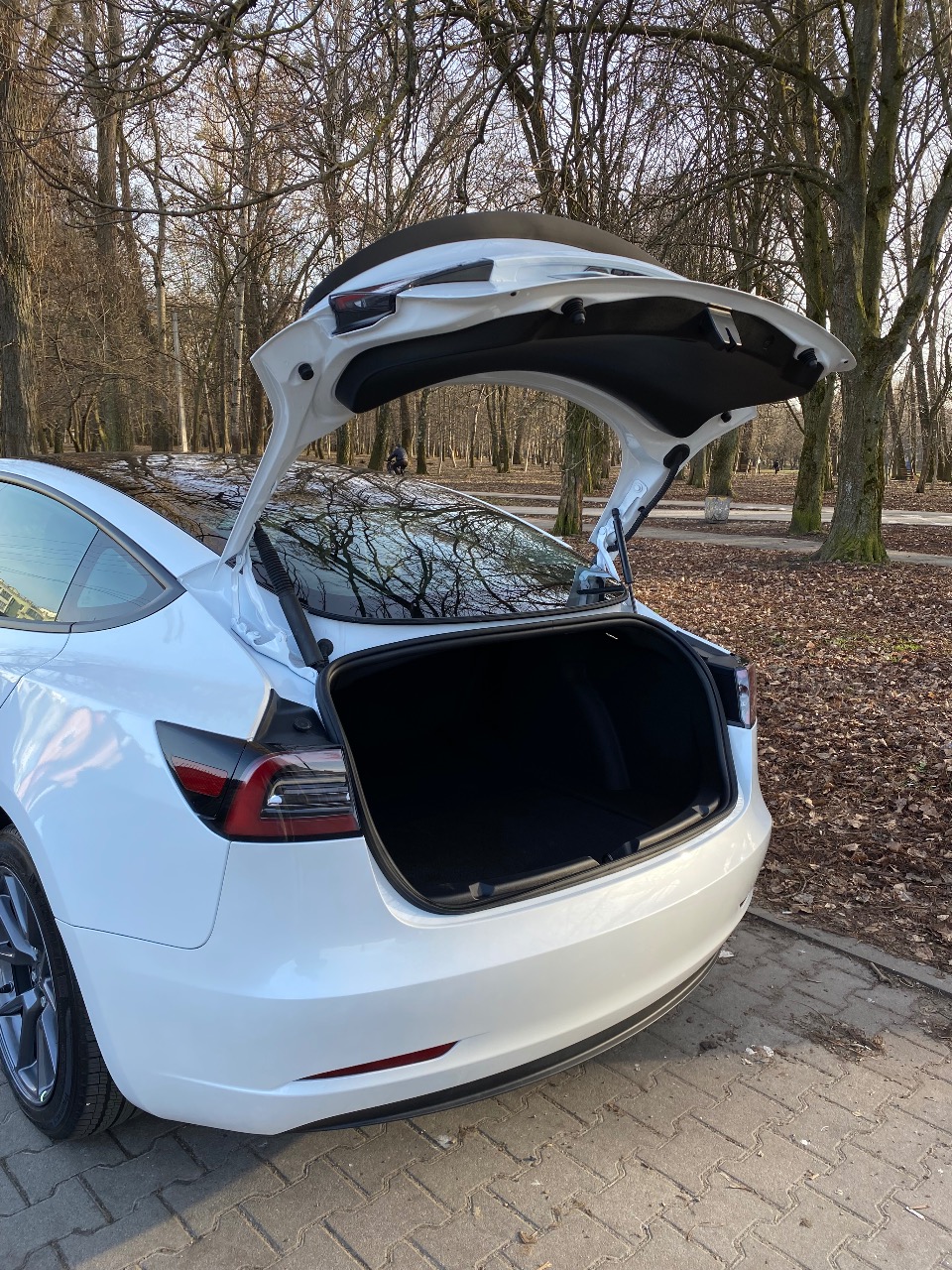 Tesla Model 3 2023, Київ, $24 000 - зображення 5