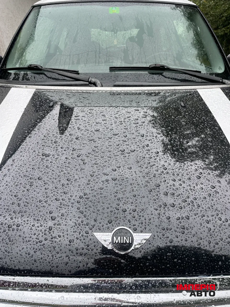 Mini Hatch - фото 14