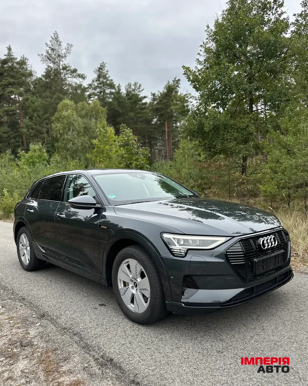 Audi e-tron - фото 3