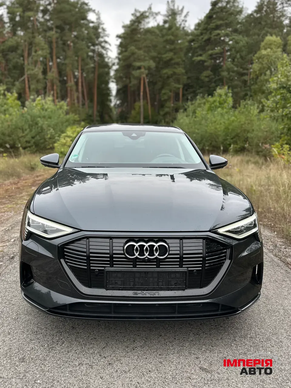 Audi e-tron - фото 2
