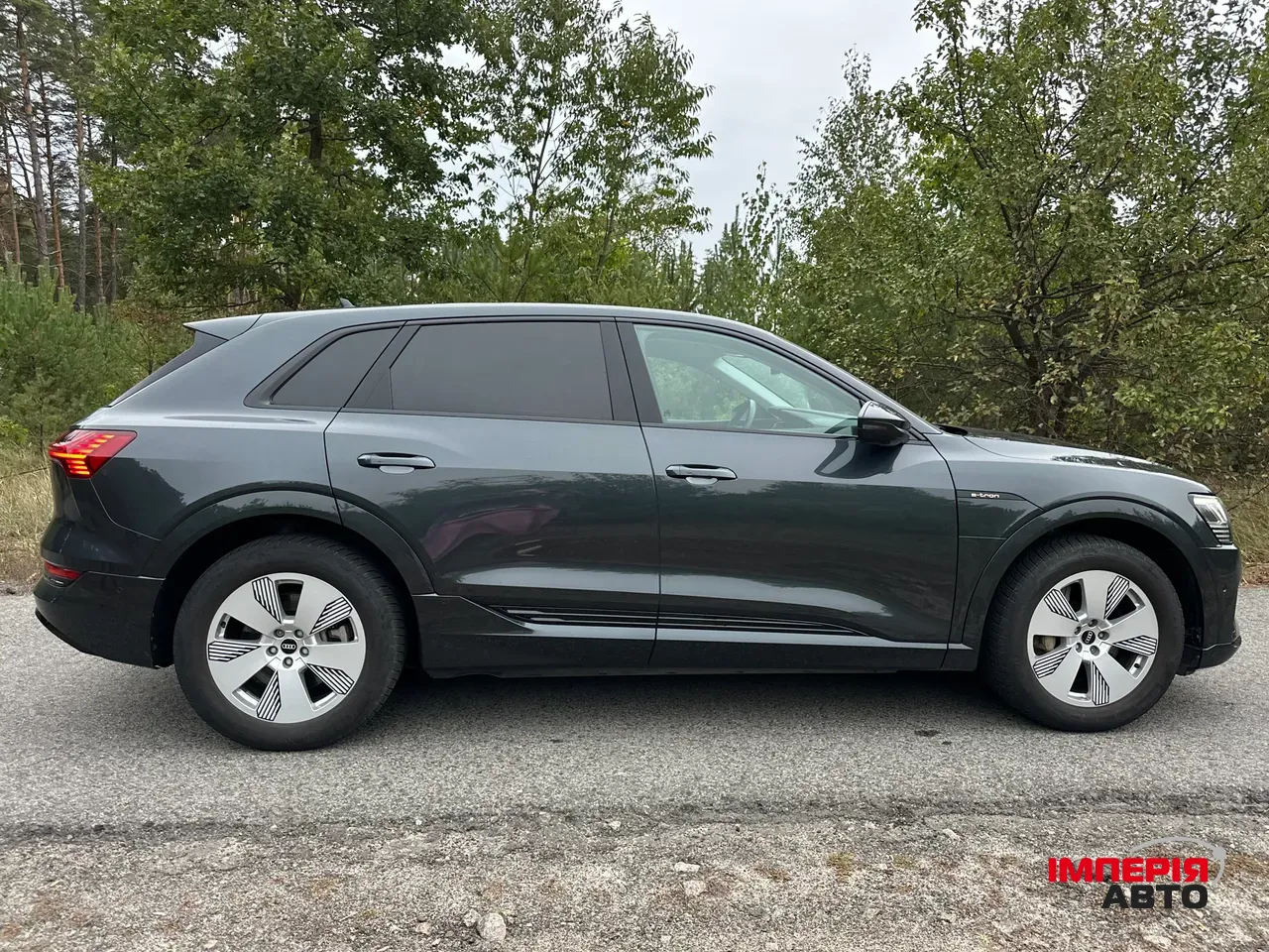 Audi e-tron - фото 6