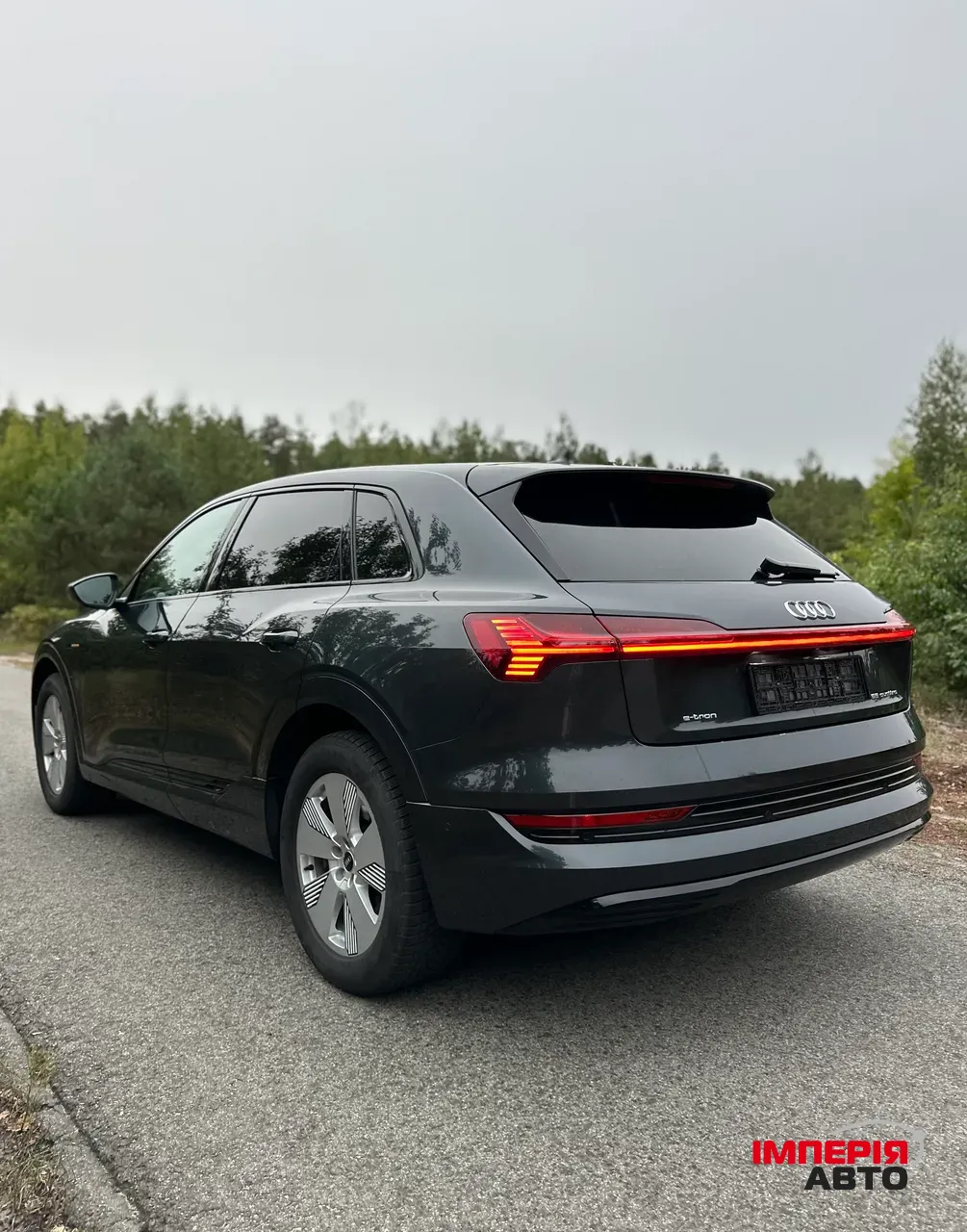 Audi e-tron - фото 8