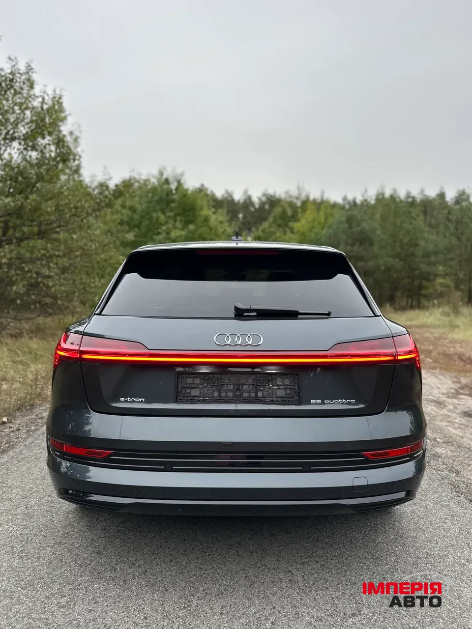 Audi e-tron - фото 10